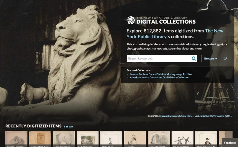 Lion home page