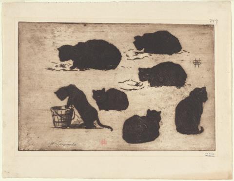 An etching of seven black cats playing and sitting in different positions. One cat peers into a small bucket. 